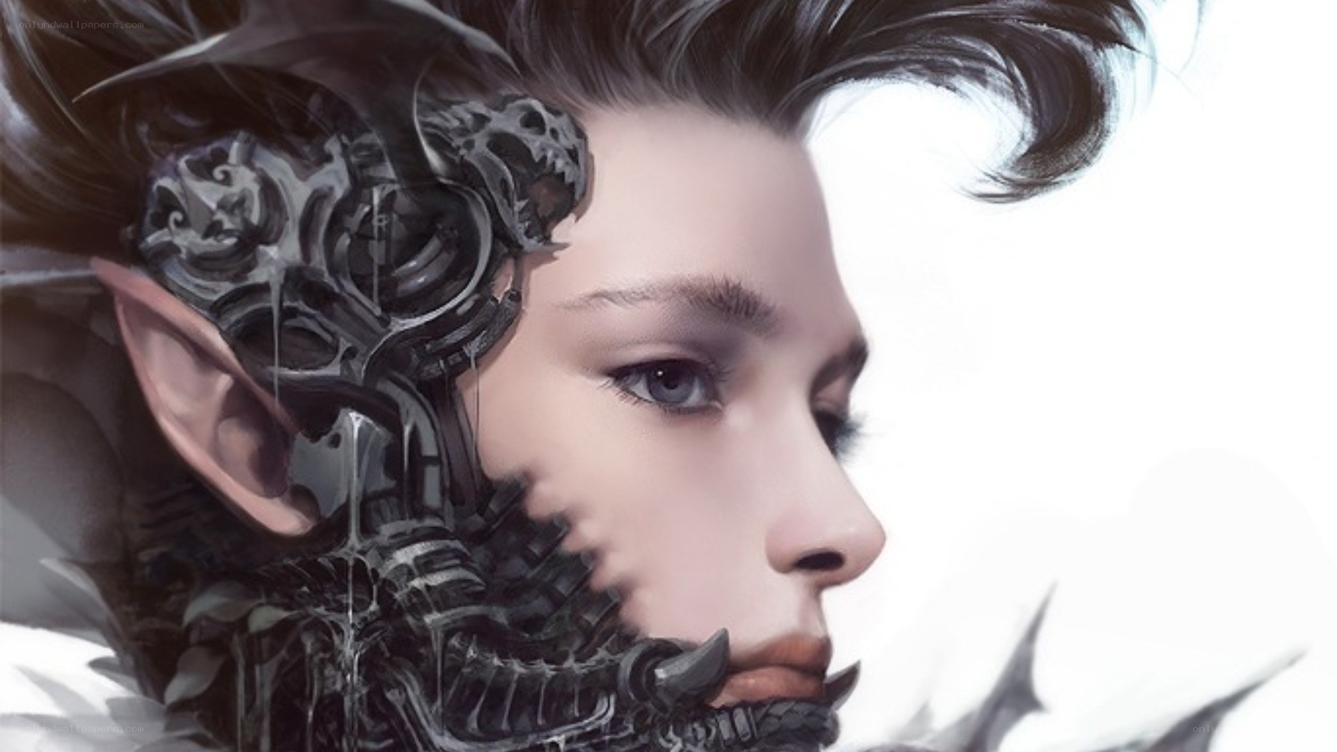 cybernetic elf warrior