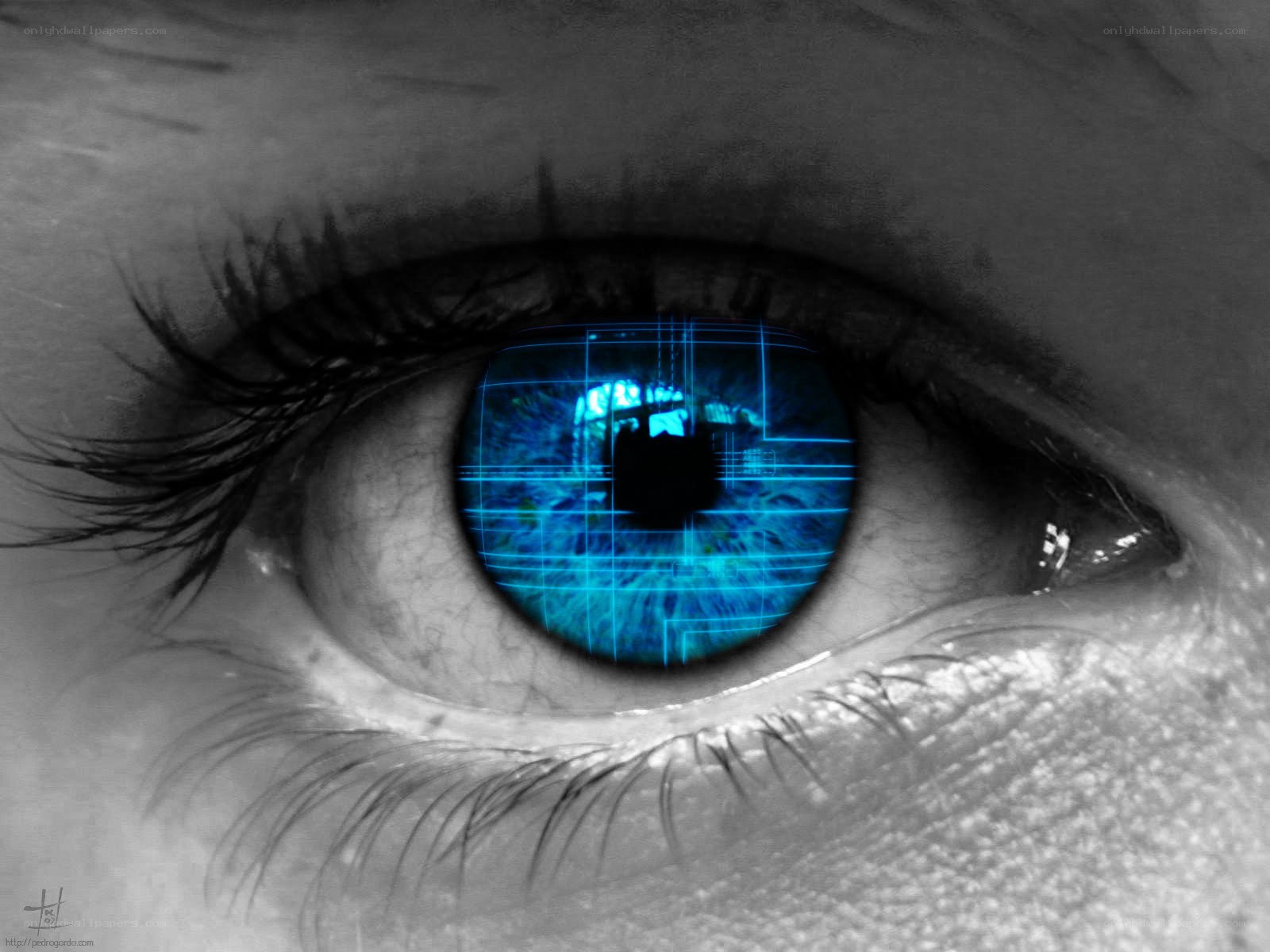cybernetic eye with blue grid
