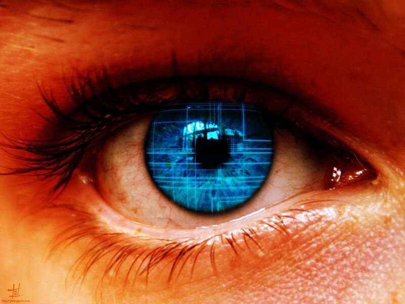 cybernetic eye with blue grid