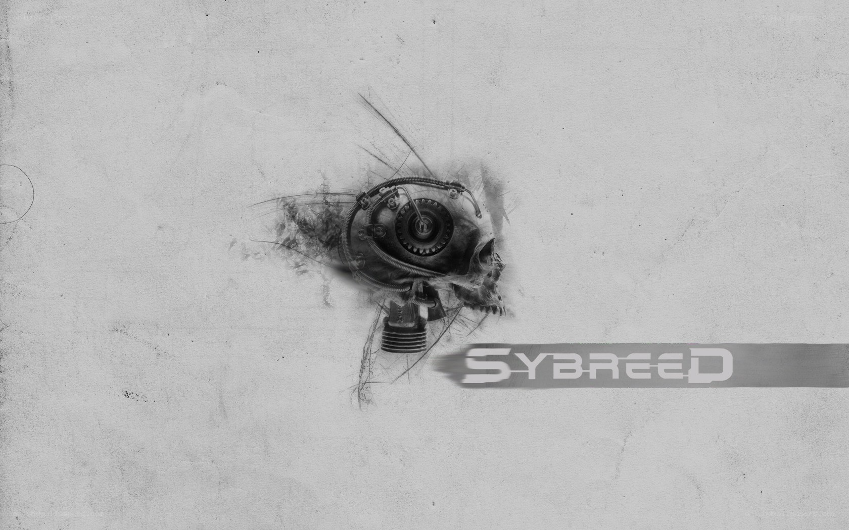 cybernetic skull artwork