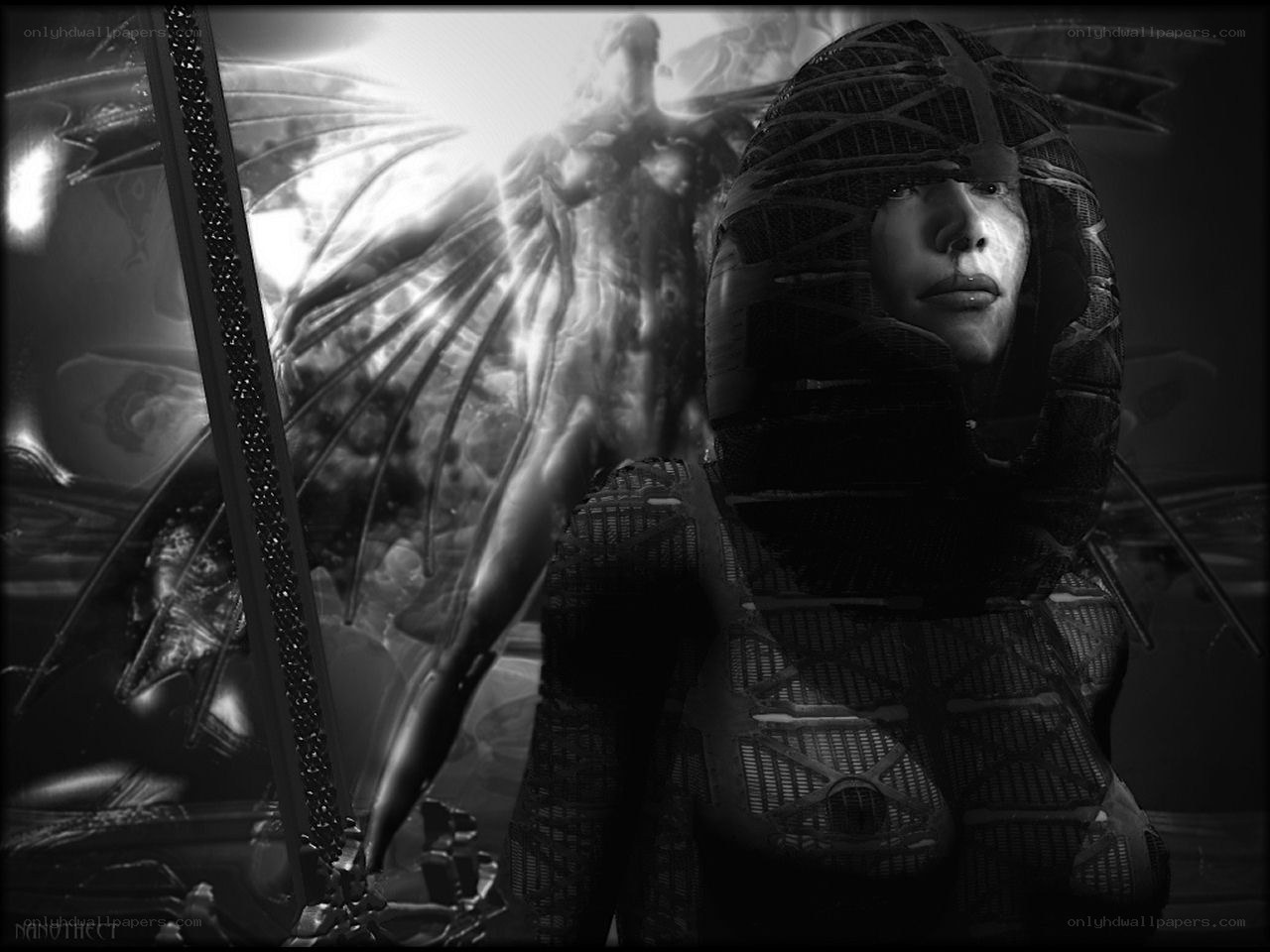 cybernetic warrior with angelic figure
