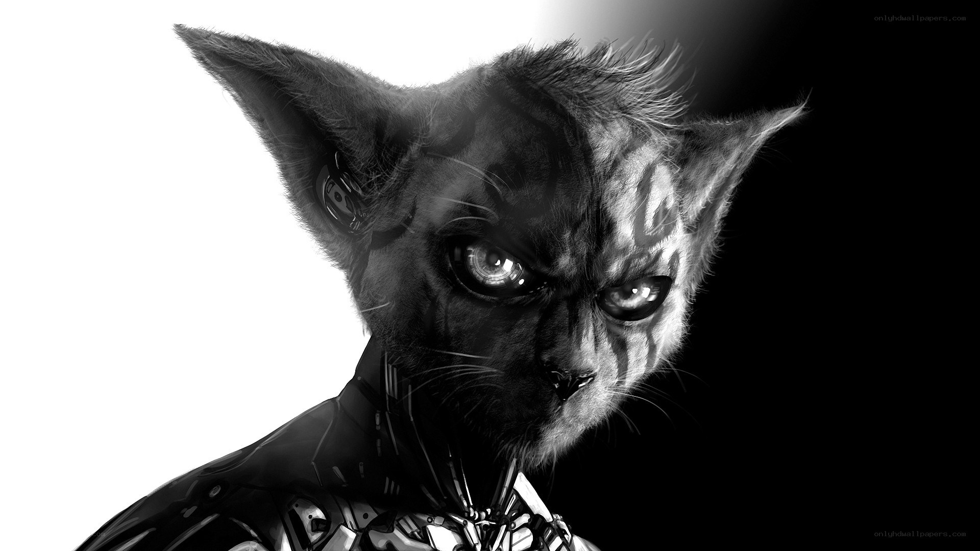 cyborg cat character portrait