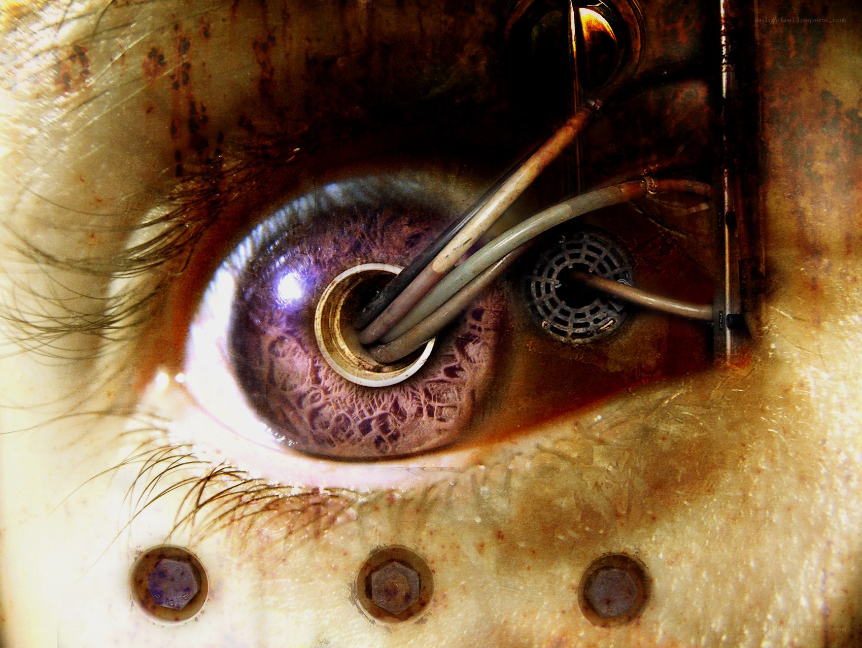cyborg eye with mechanical implants