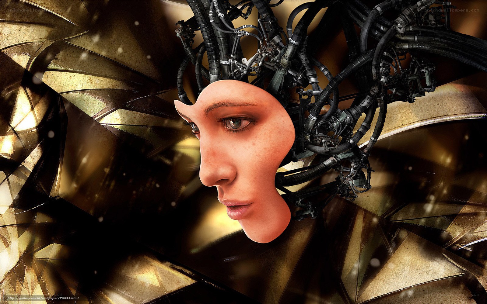 cyborg face with mechanical head
