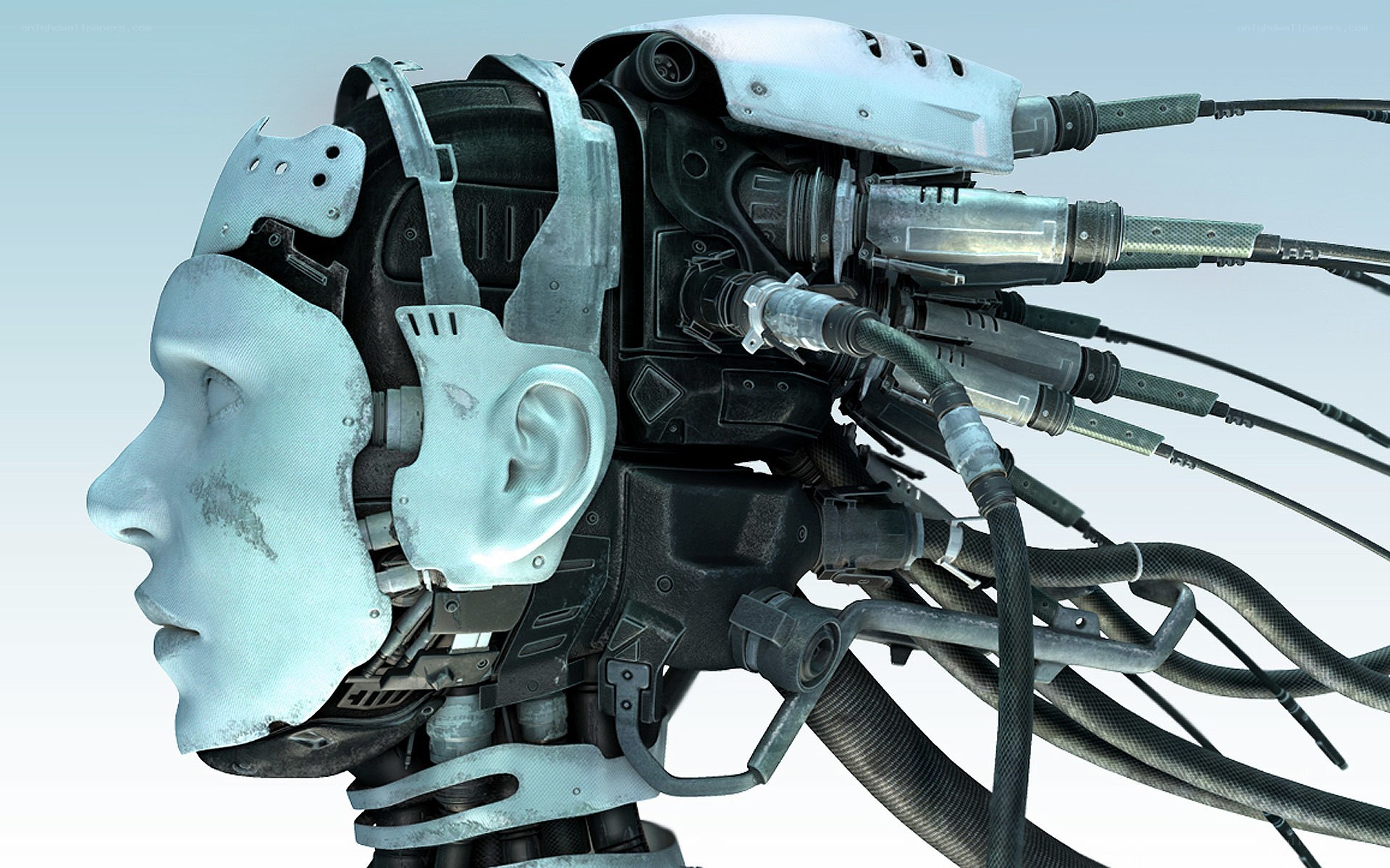 cyborg head profile
