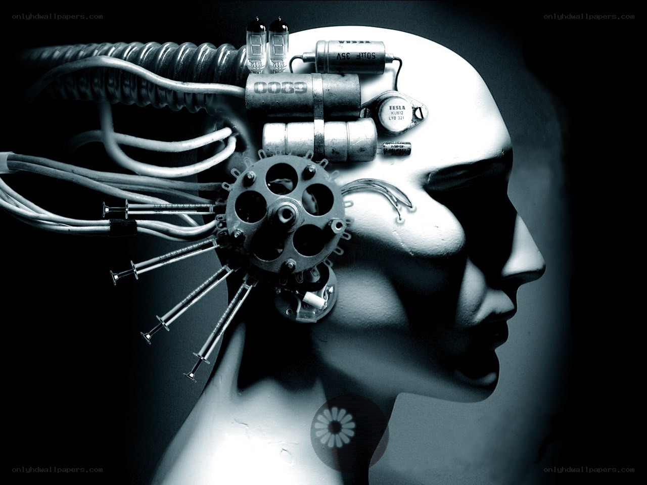 cyborg head with exposed circuitry