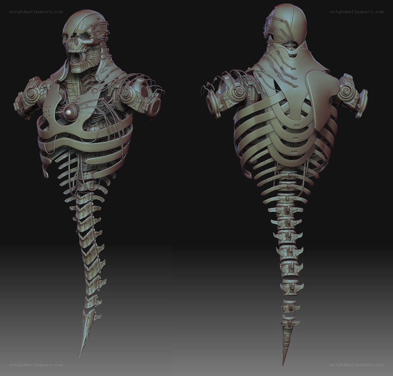 cyborg skeleton model