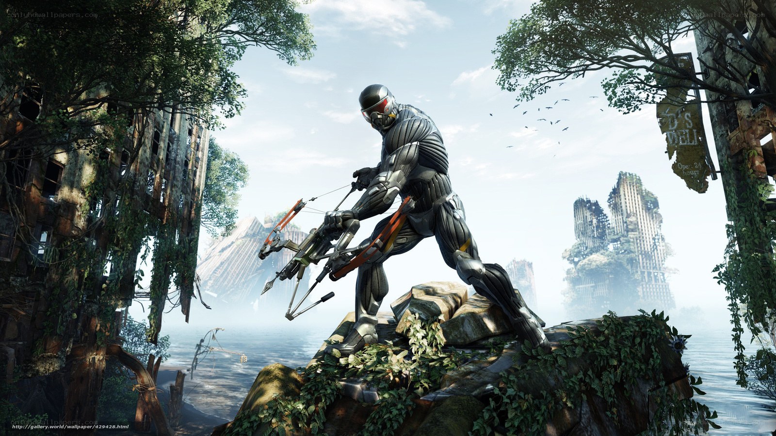 cyborg warrior in overgrown ruins