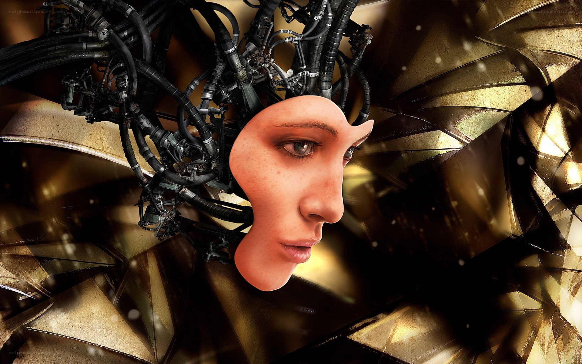 cyborg woman with mechanical head