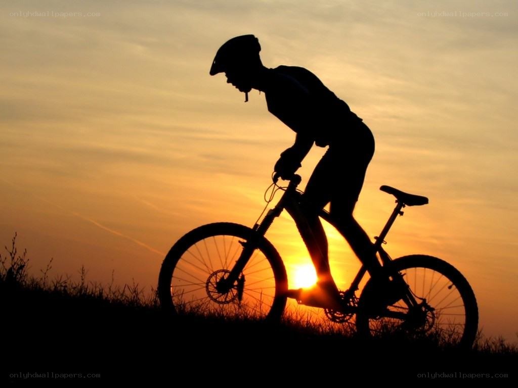 cyclist at sunset silhouette