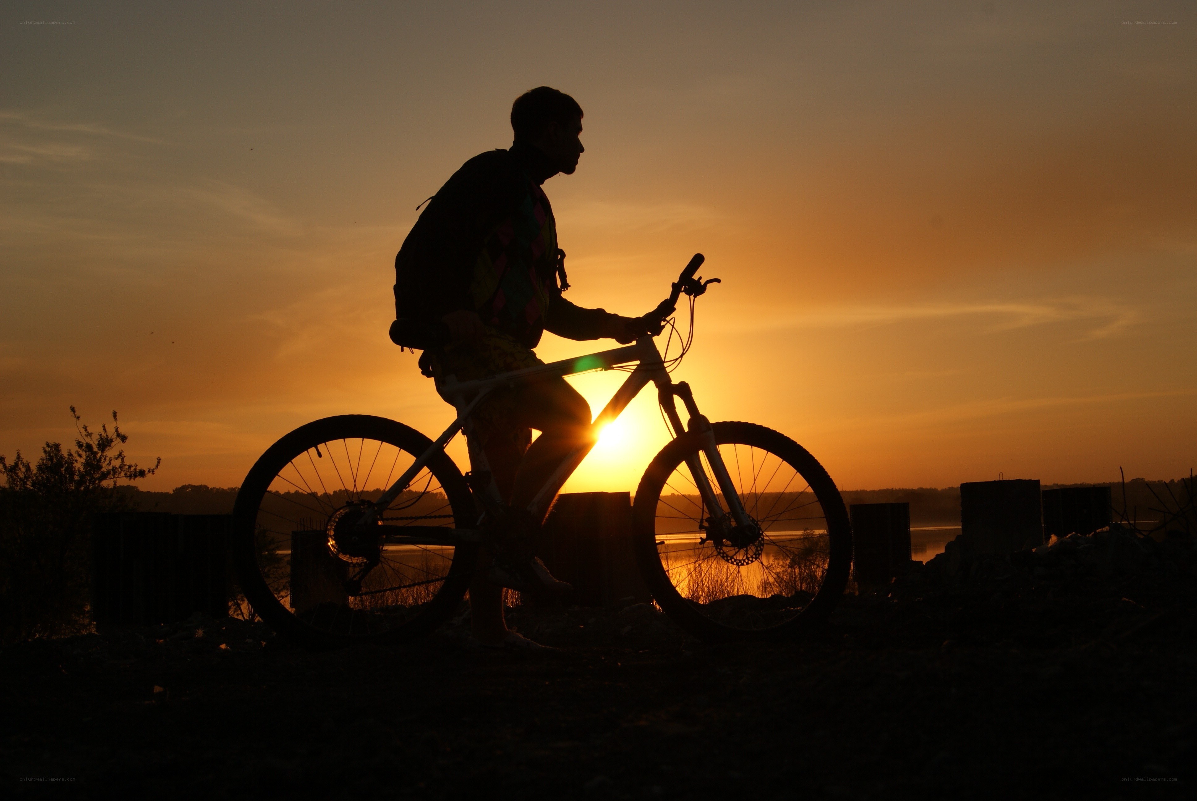 cyclist at sunset silhouette