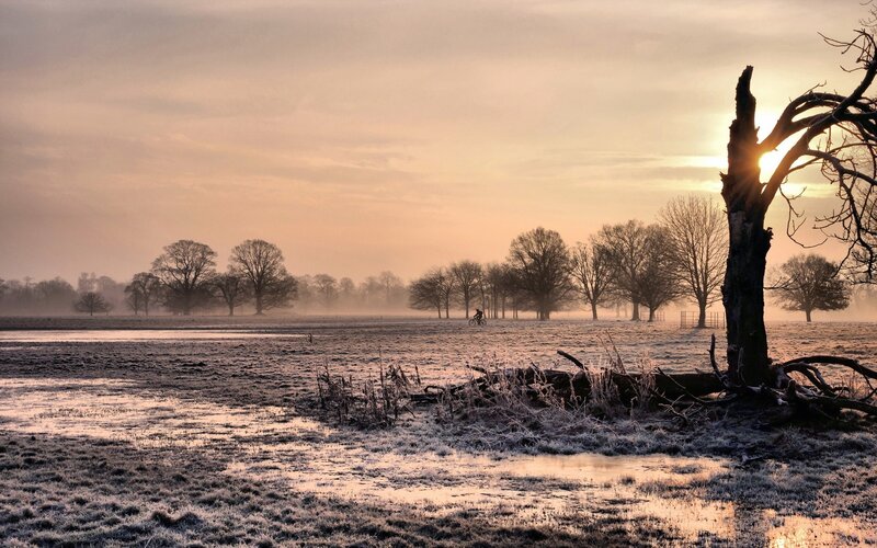 Cyclist in Frosty Field — Orange