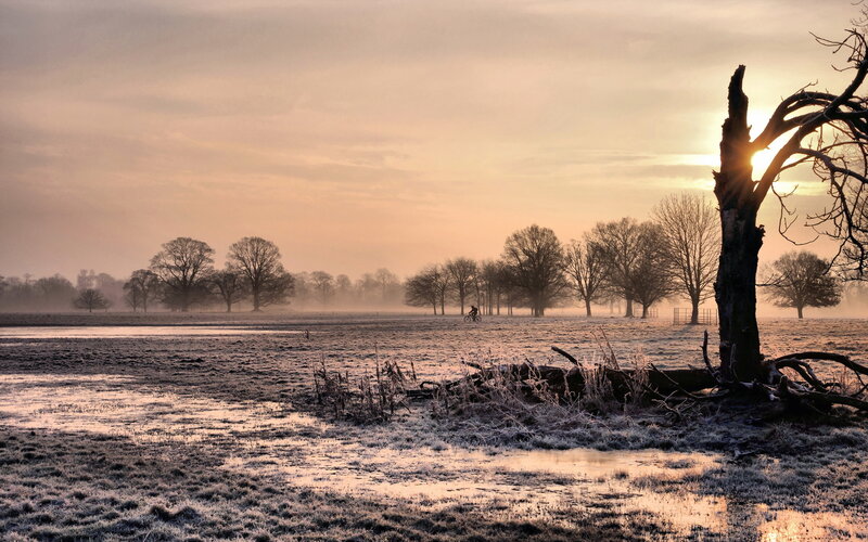 Cyclist in Frosty Field