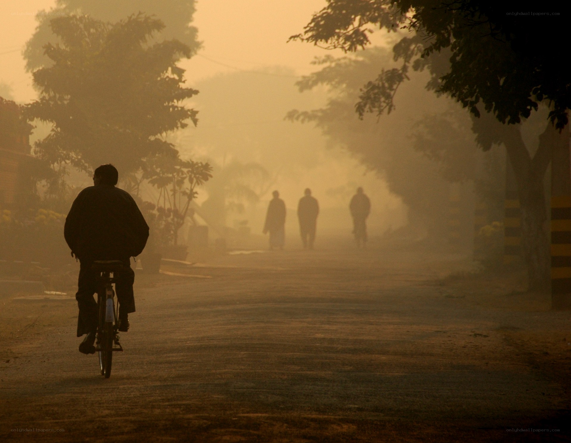 Cyclist in hazy morning