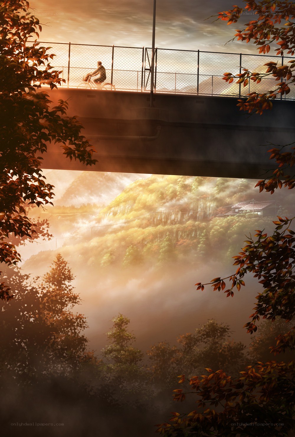 Cyclist on a bridge at sunrise