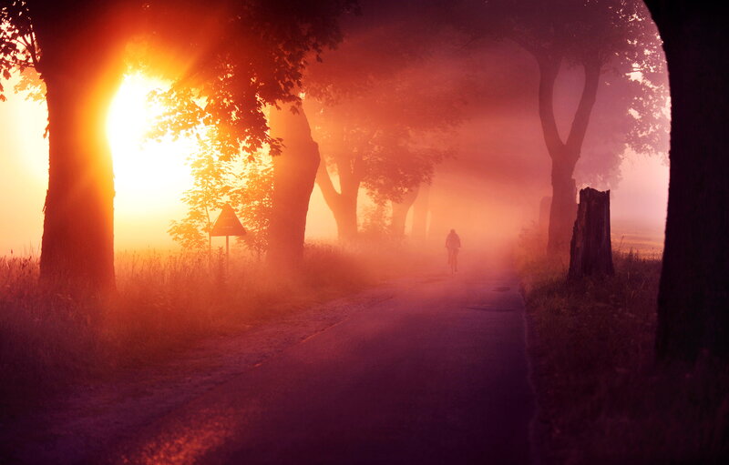Cyclist on a Foggy Road — Orange