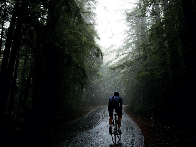 Cyclist on a forest road
