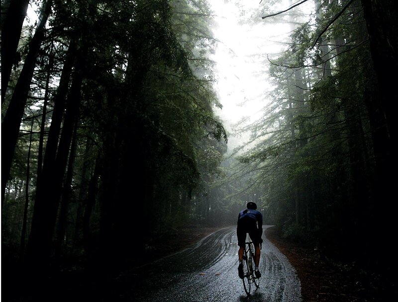 Cyclist on a forest road