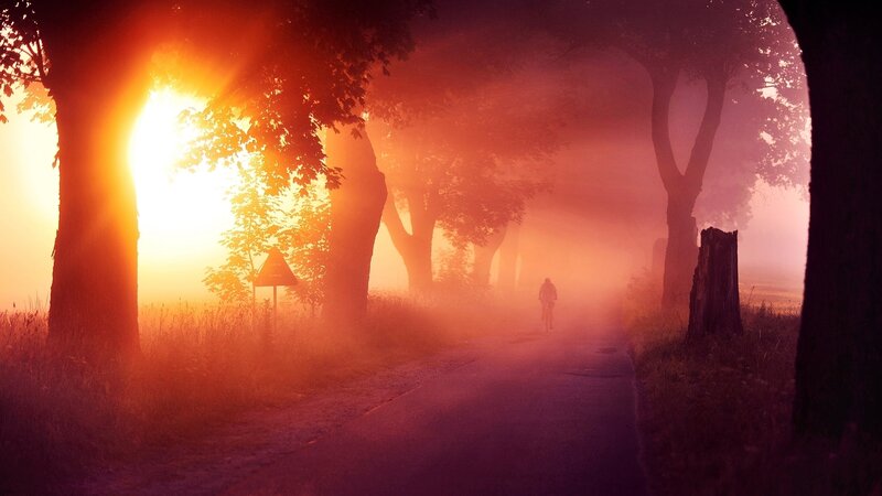 Cyclist on a Road — Orange