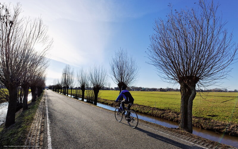 Cyclist on a rural road
