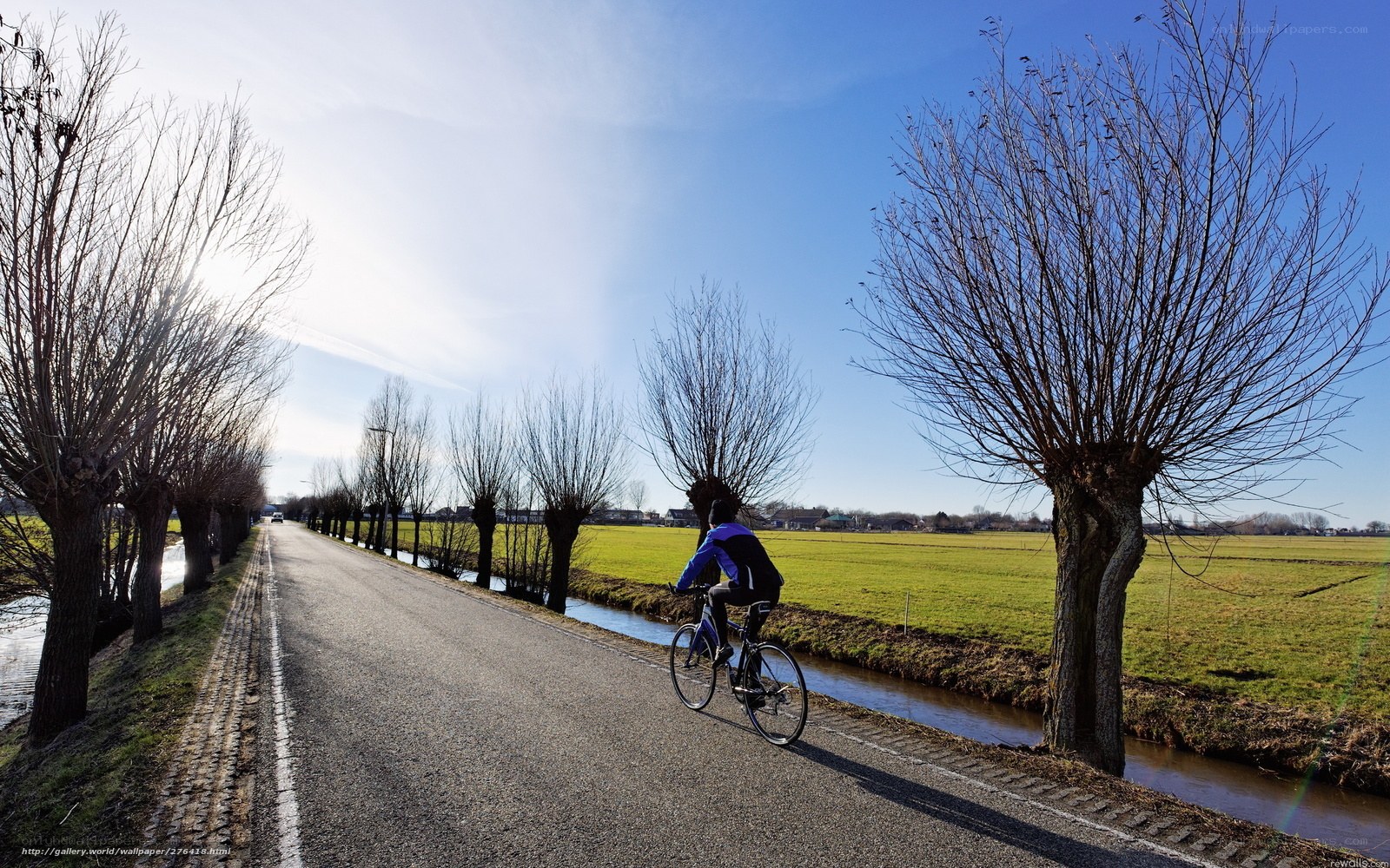 Cyclist on a rural road