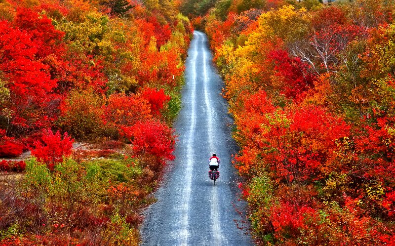 Cyclist on Autumn Road