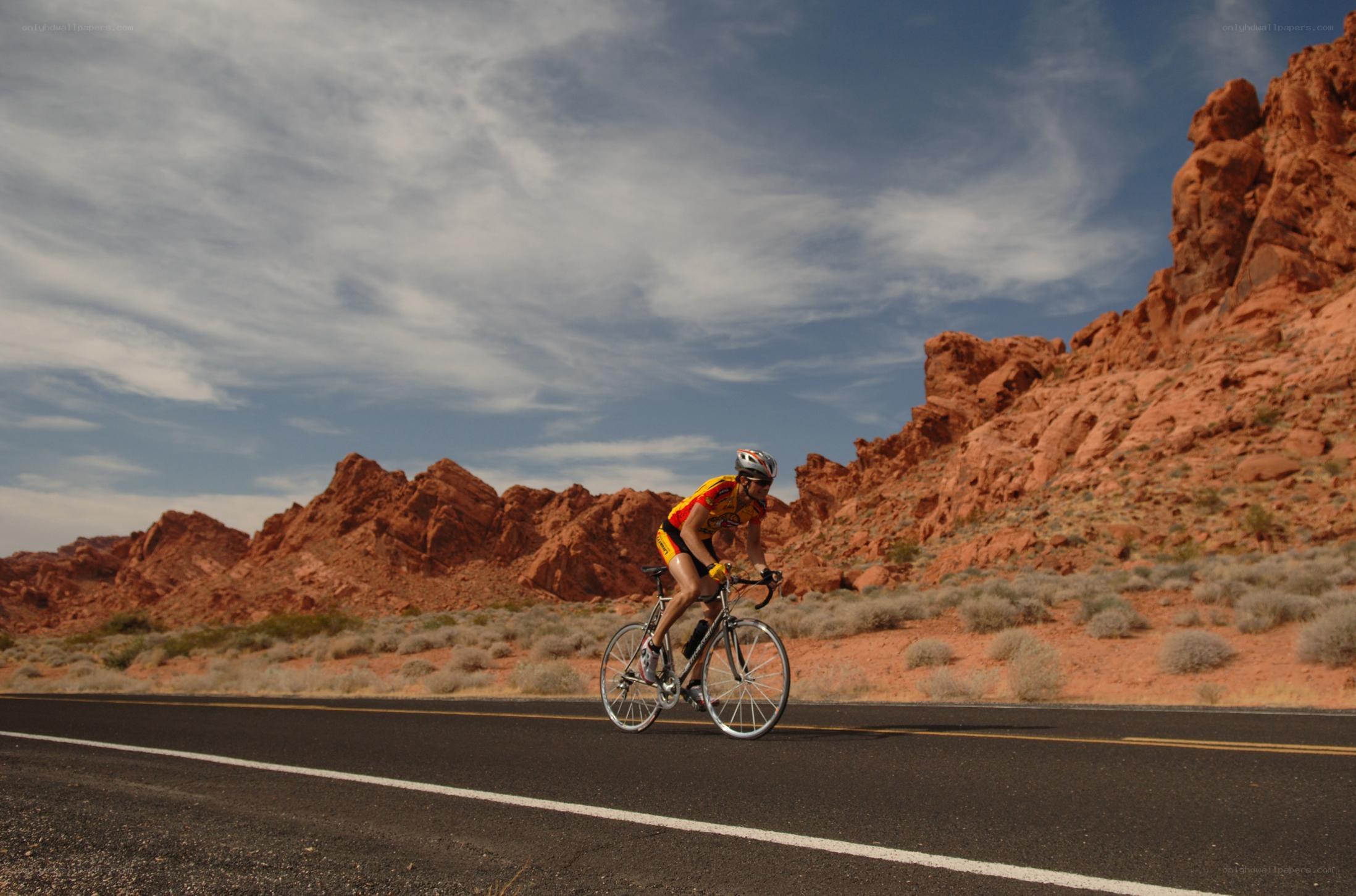 Cyclist on desert road