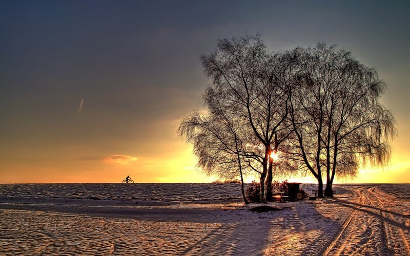 Cyclist on Snowy Field