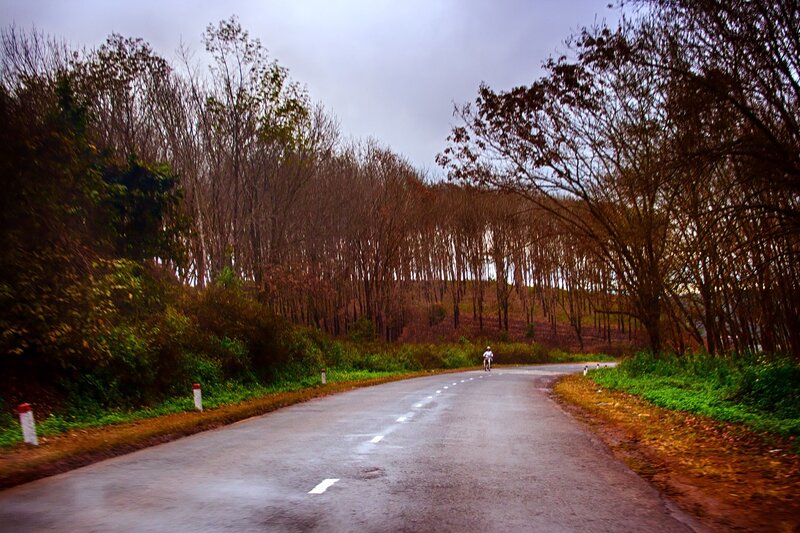 Cyclist on Winding Road