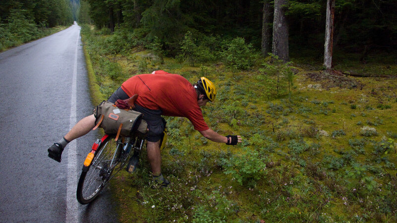 Cyclist stops on forest road