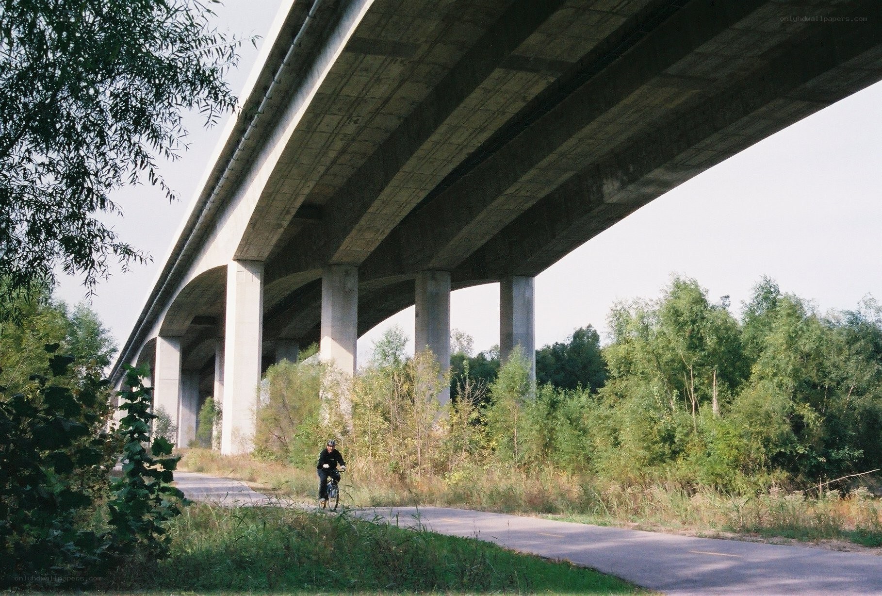 Cyclist under a concrete bridge