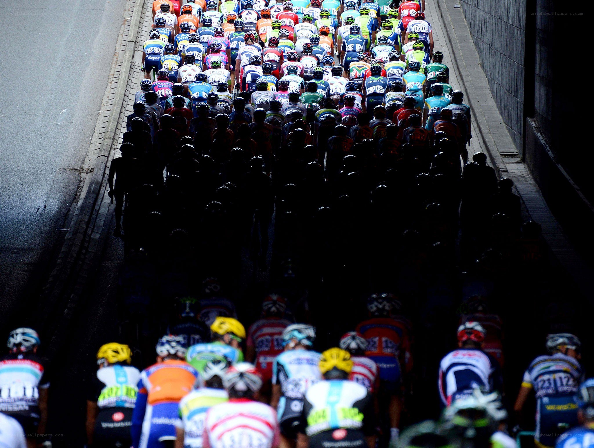 Cyclists in a peloton