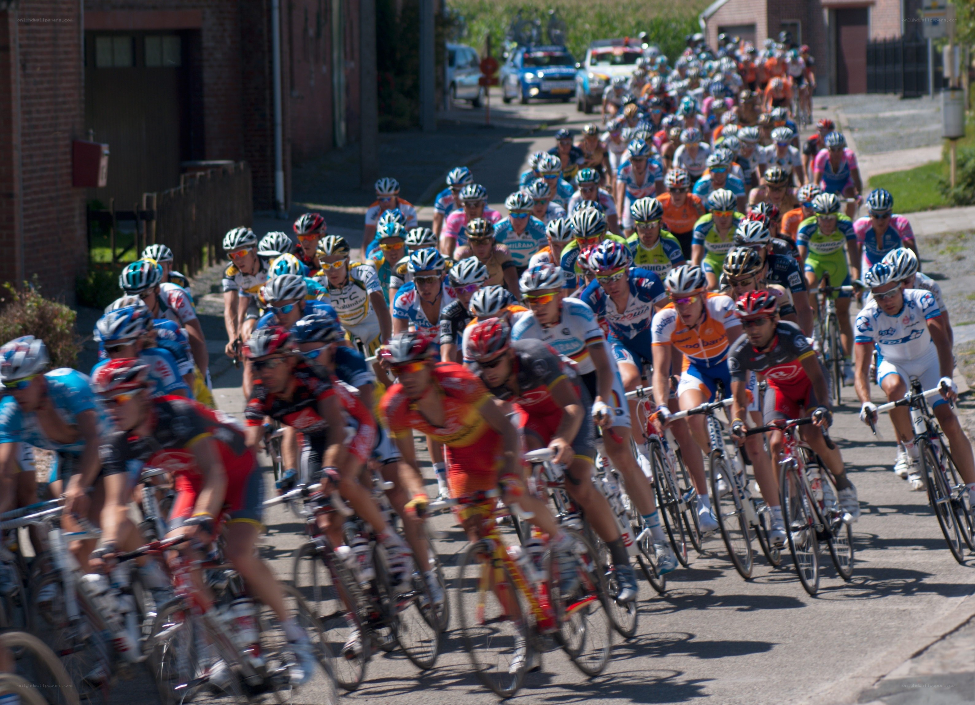 Cyclists in a race