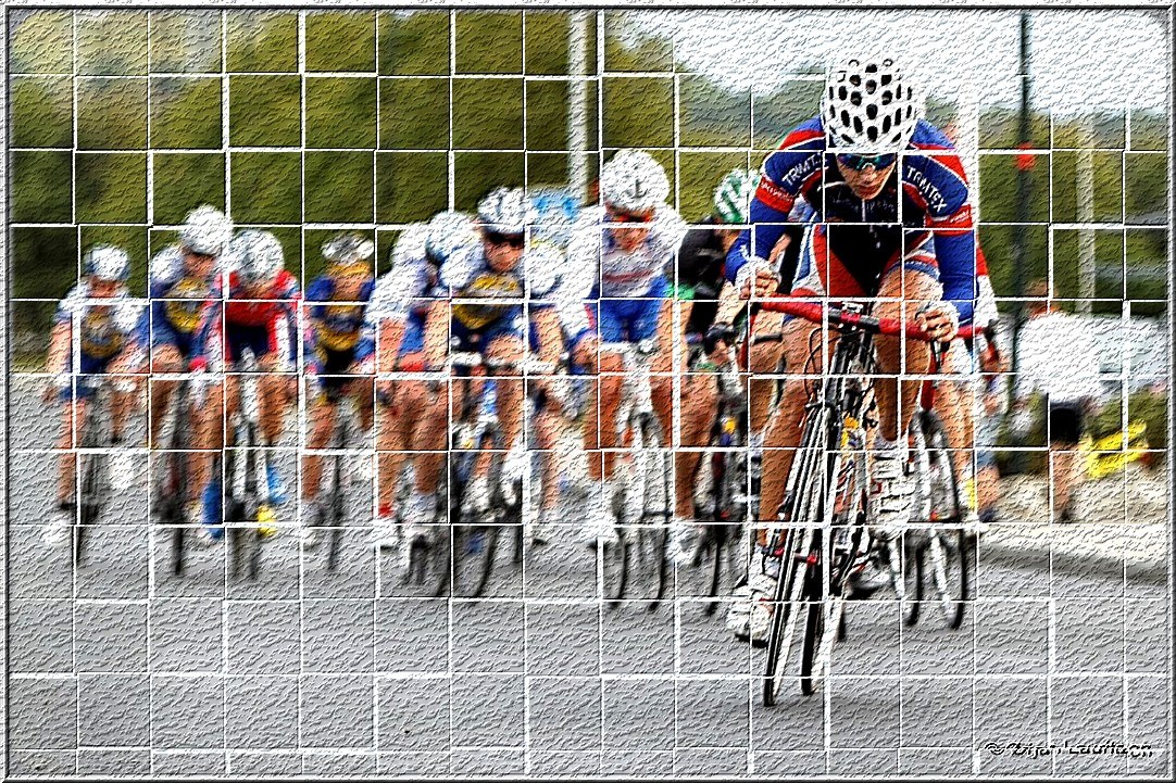 Cyclists in a race