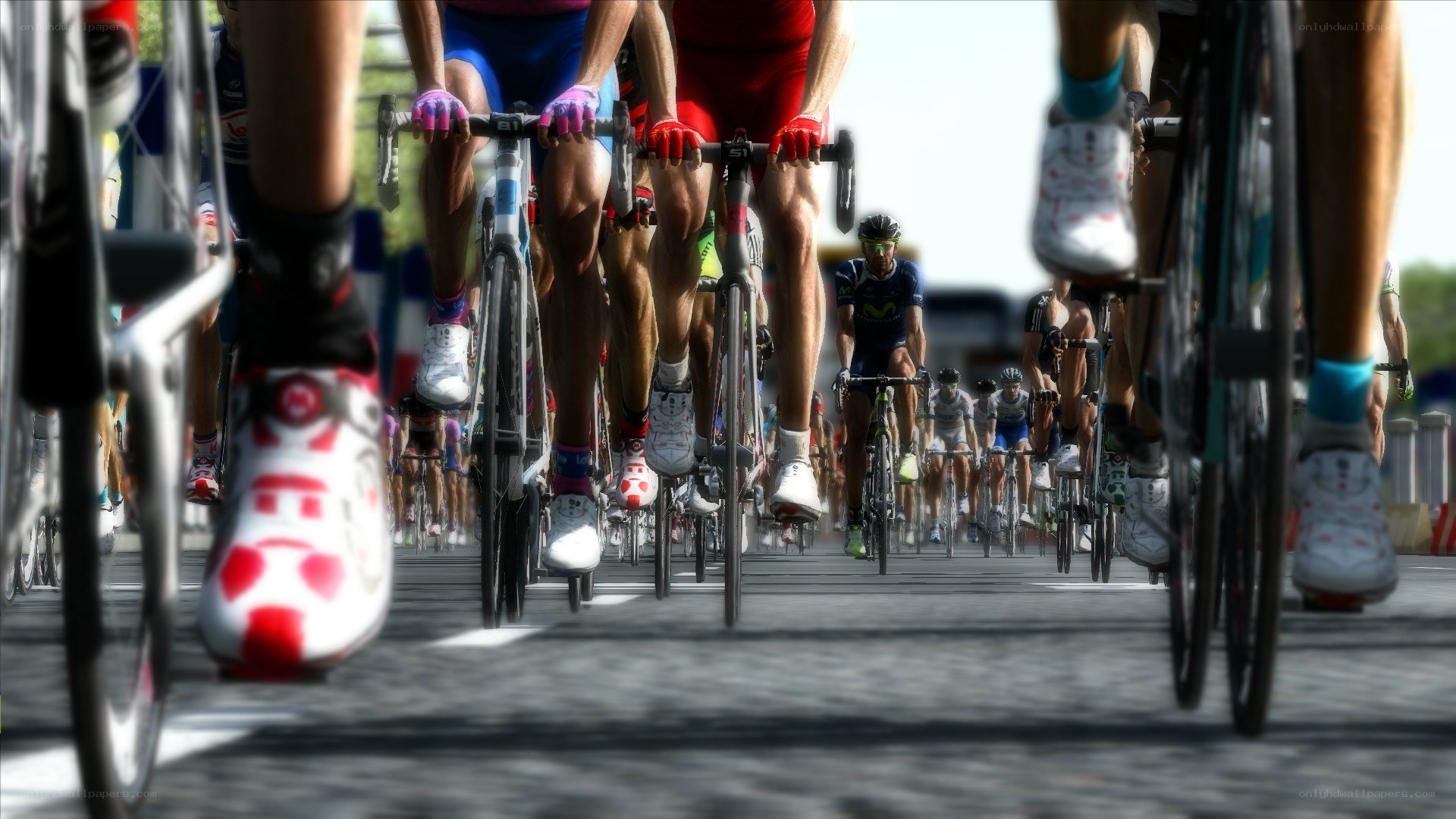 Cyclists in a race