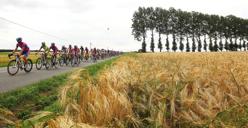 Cyclists in a race on a country road