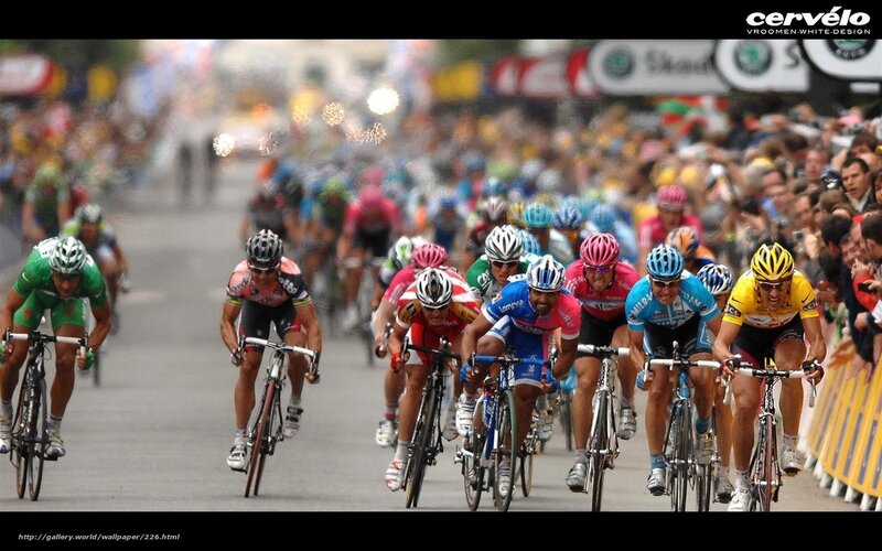 Cyclists in a race