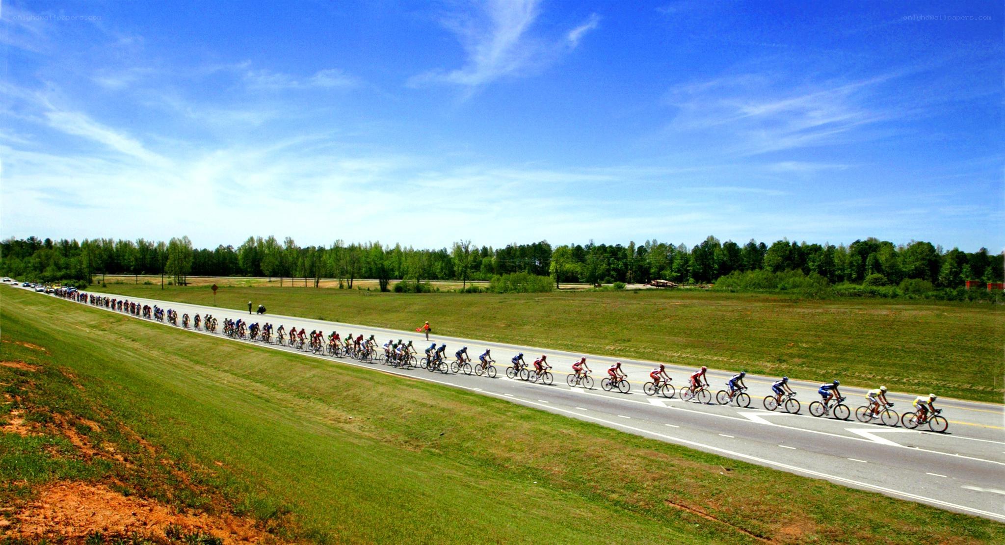 Cyclists in a road race
