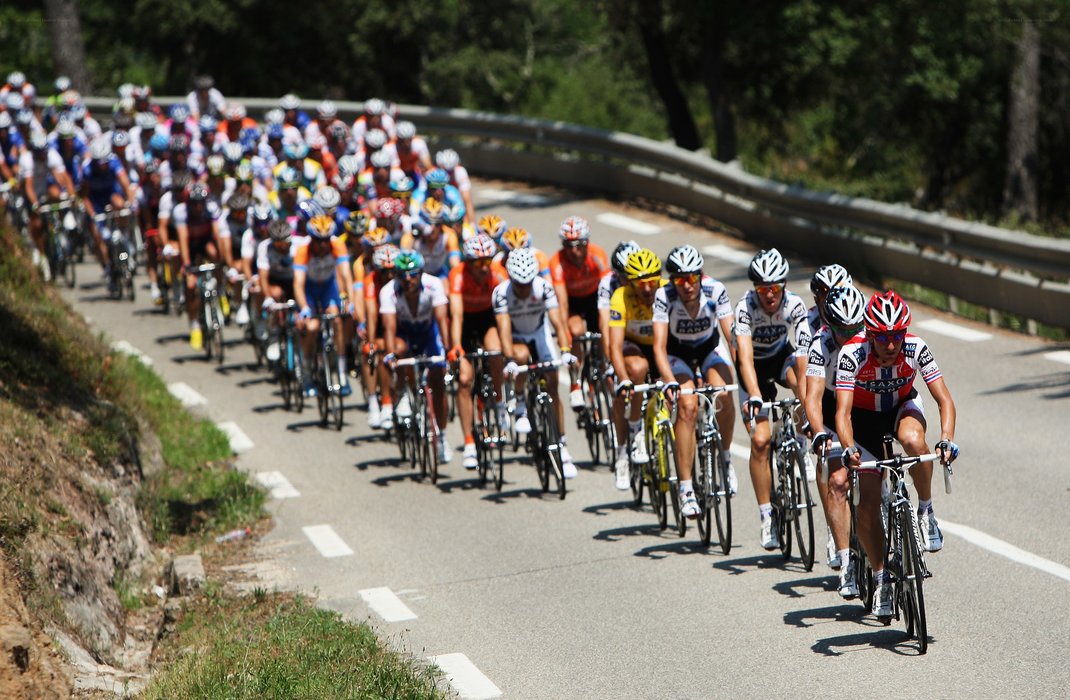 Cyclists in a road race