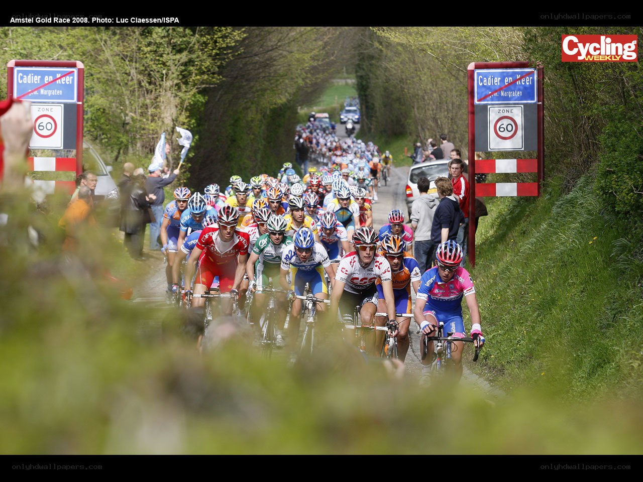Cyclists in Amstel Gold Race