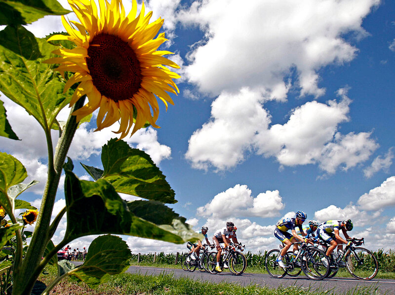 Cyclists in Race — Yellow