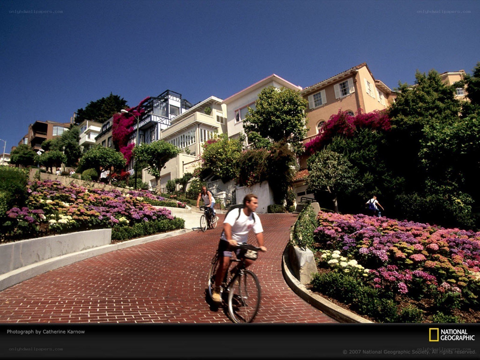 Cyclists on a brick path