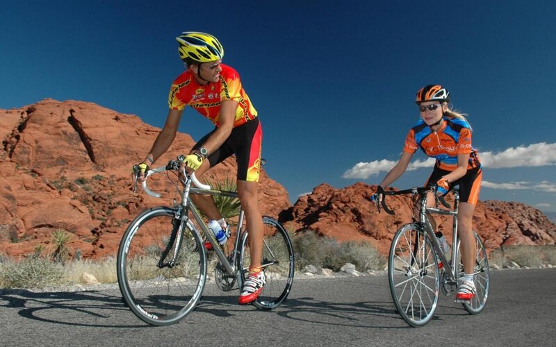 Cyclists on a desert road