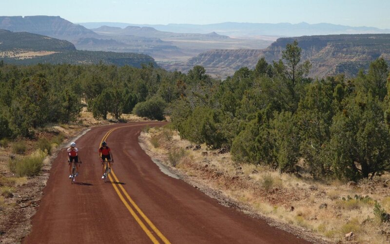 Cyclists on a desert road