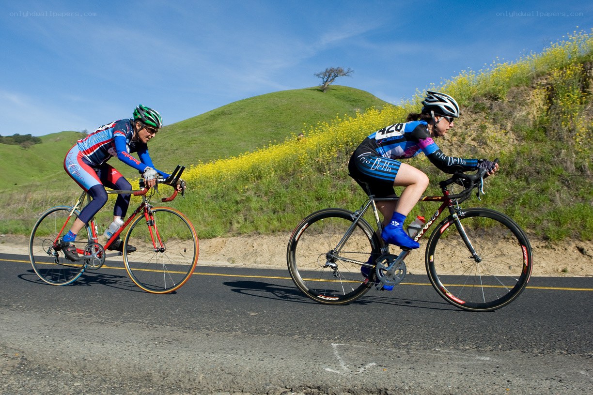 Cyclists on a sunny road
