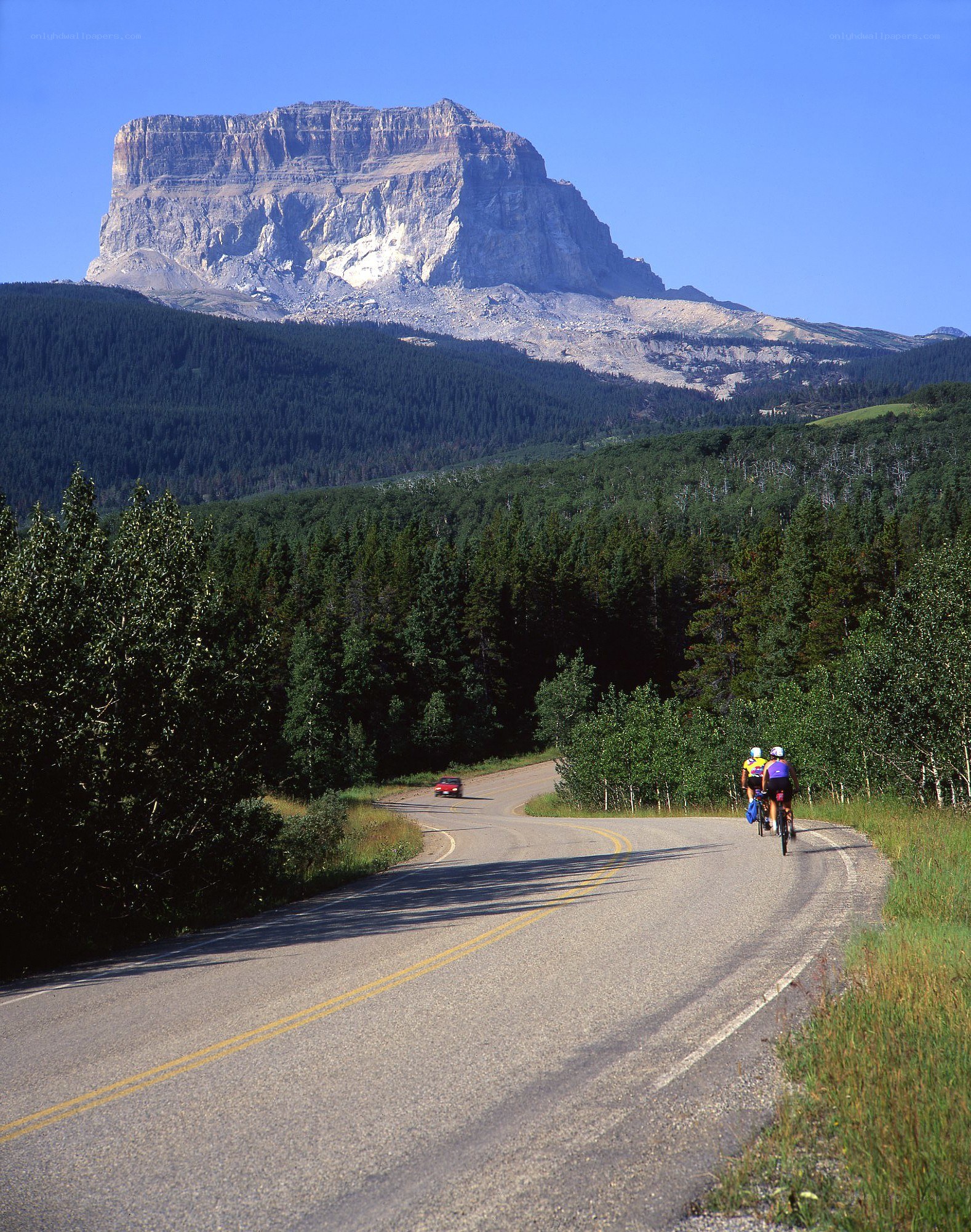 Cyclists on mountain road