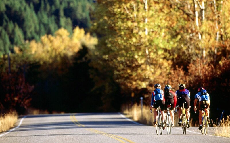 Cyclists on Road — Yellow