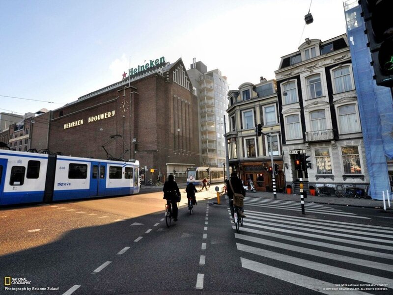 Cyclists on Street
