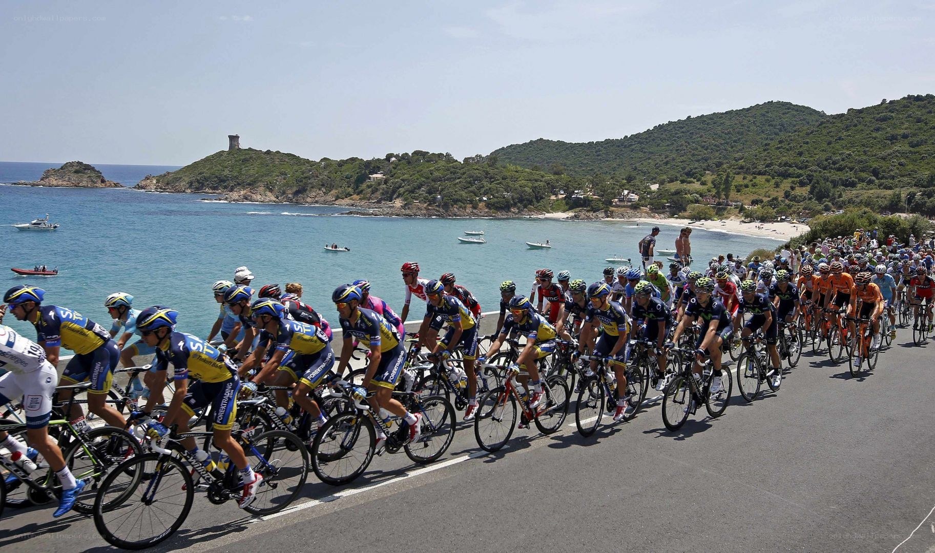 Cyclists racing along the coast