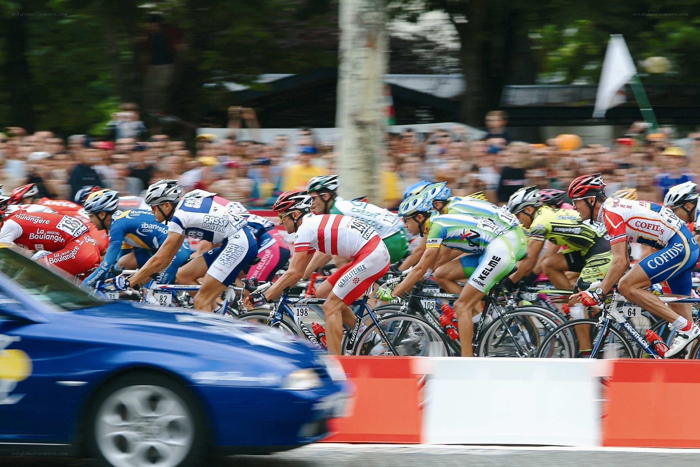 Cyclists racing in a peloton
